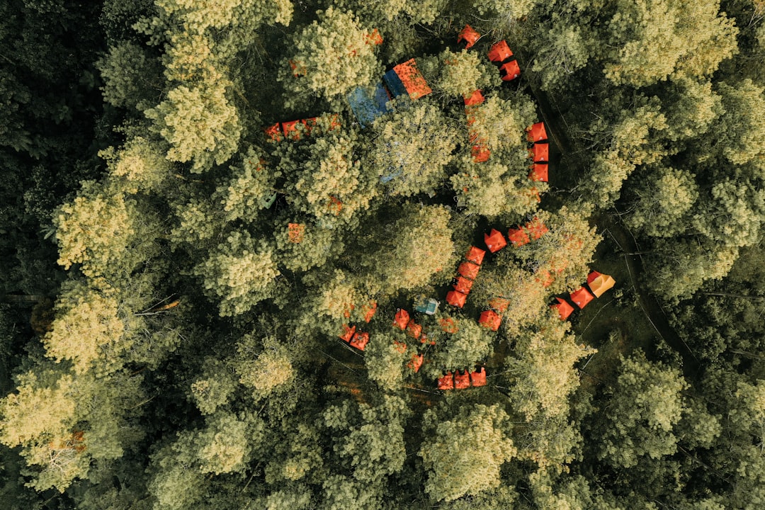 AI開発は“富豪の遊び”で終わる──DatabricksがGPUの常識を覆す一手